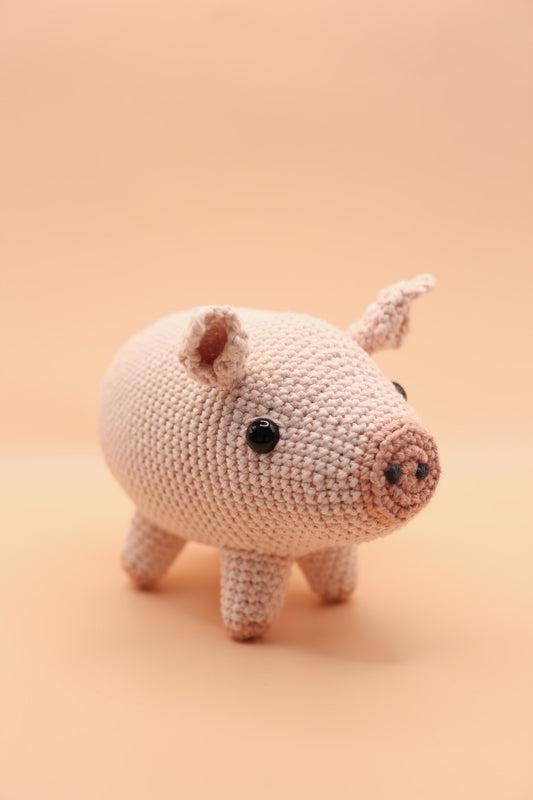 Piglet Friend