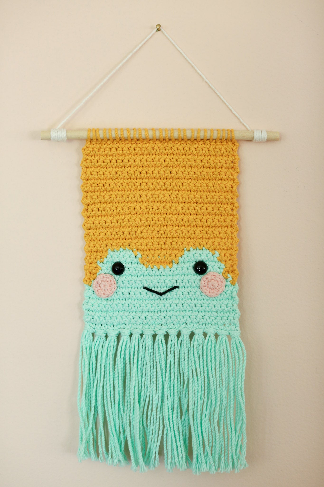 Frog Friend Wall Hanging