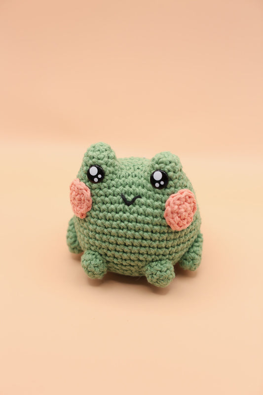 Frog Friend